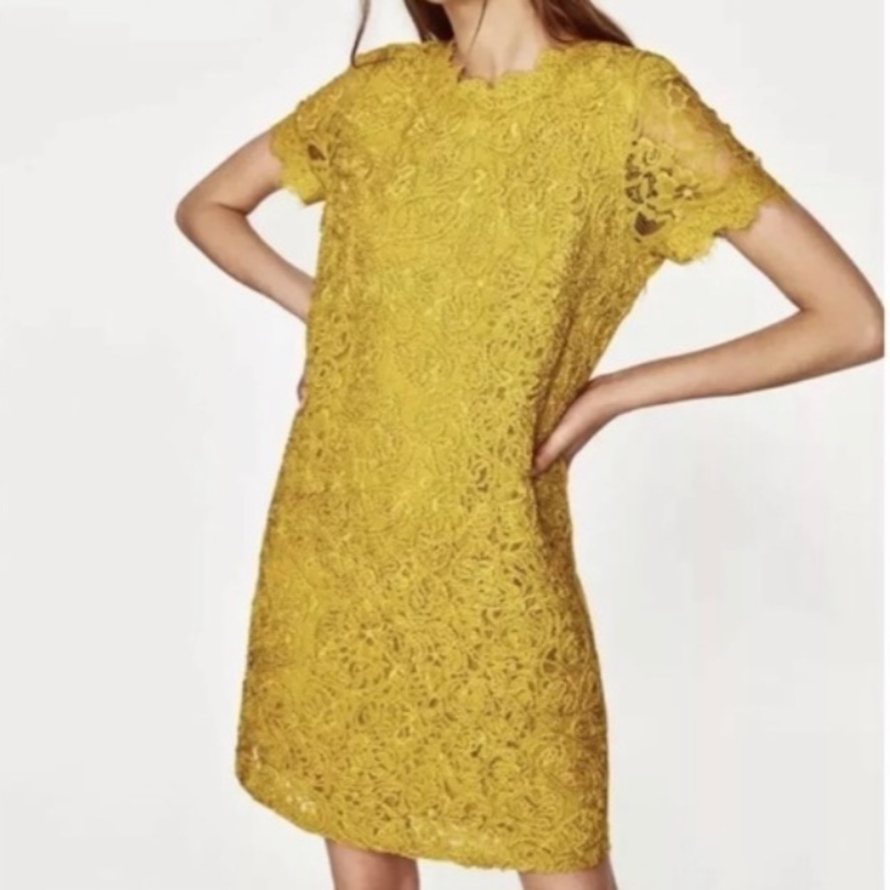 NWT ZARA Yellow Guipure Lace Dress Keyhole Back Rope Lace Size S